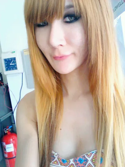 agnes-trans-tours